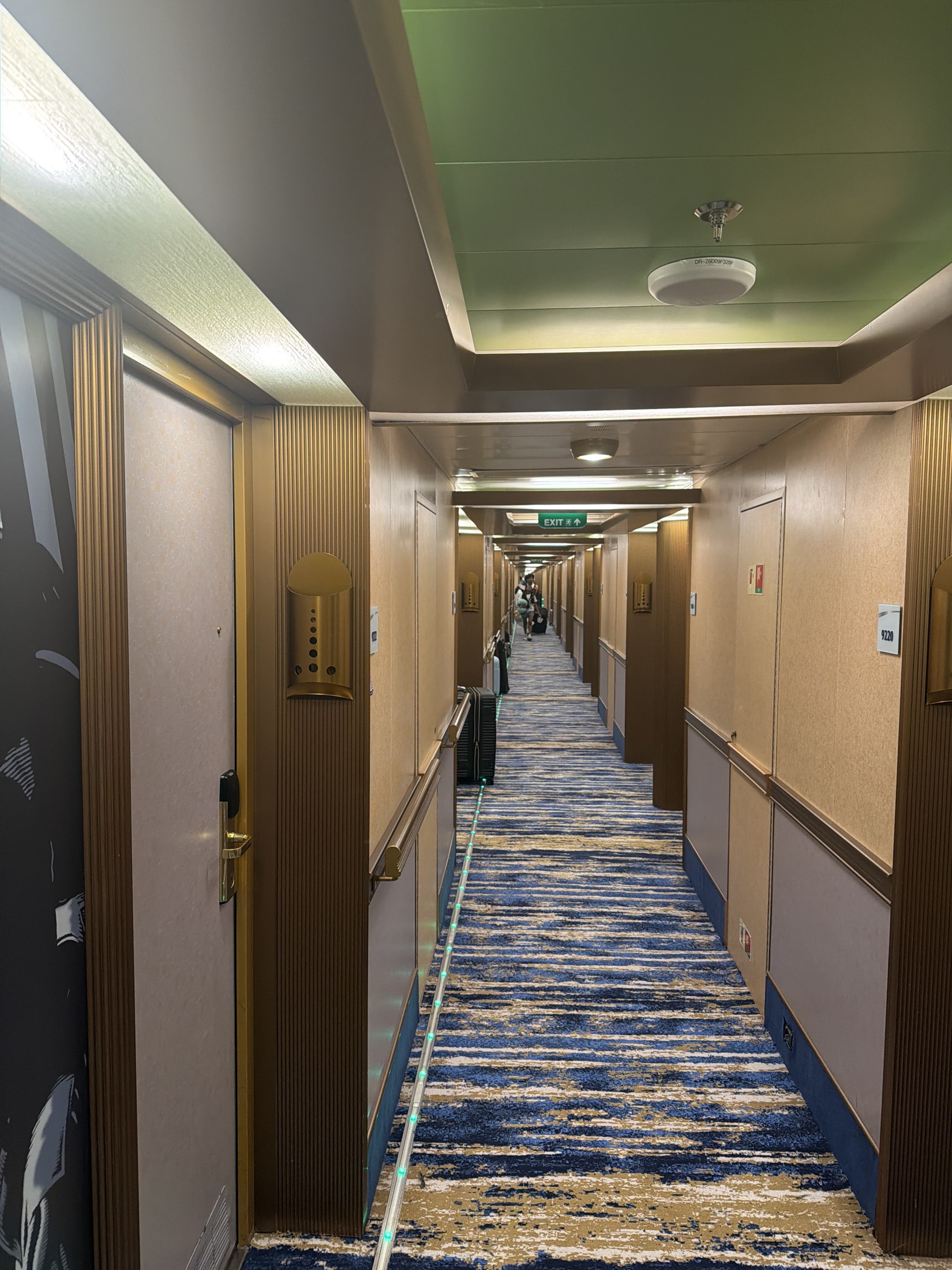 The hallway from the shining