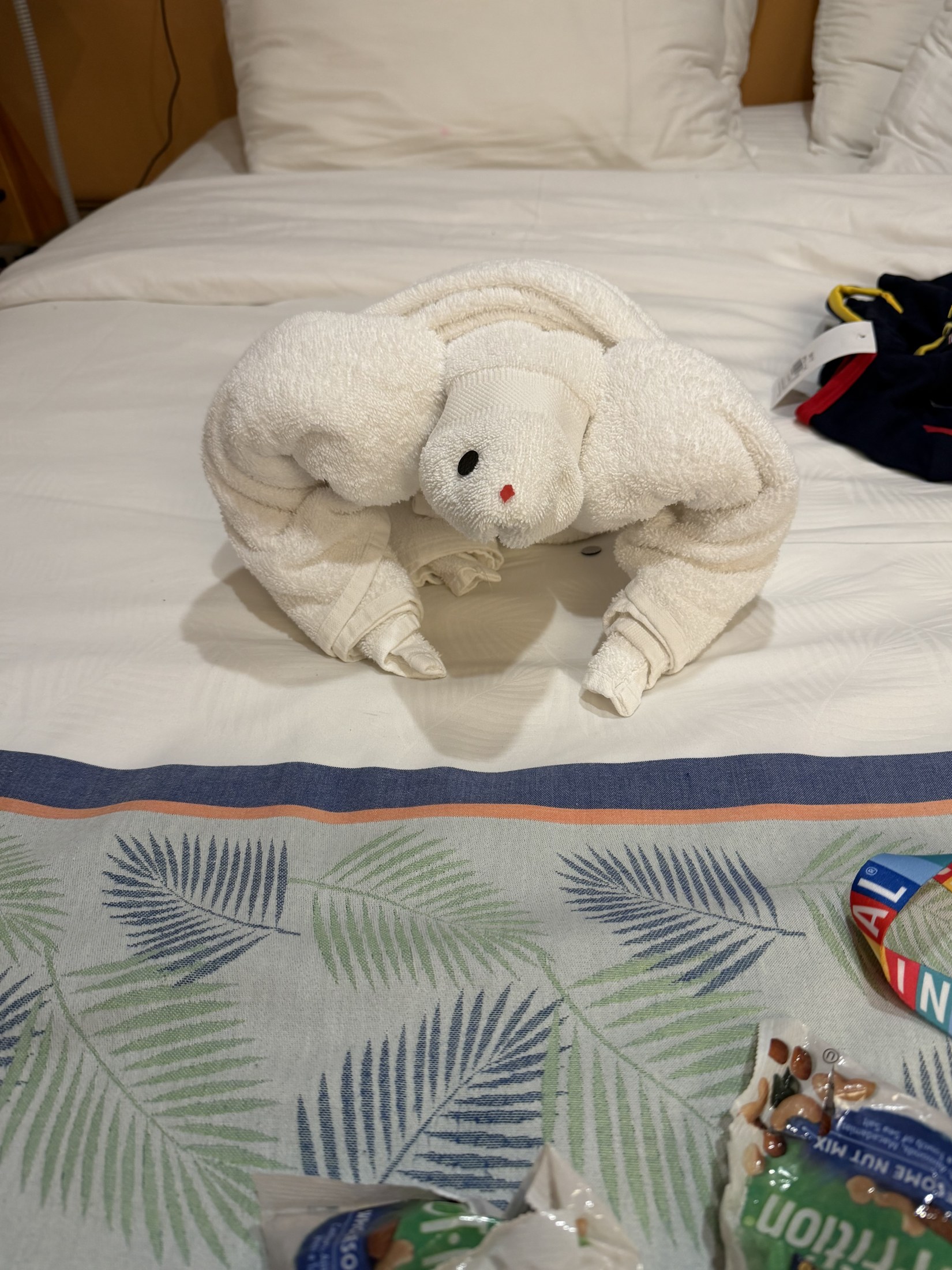 IMG_0160.jpeg