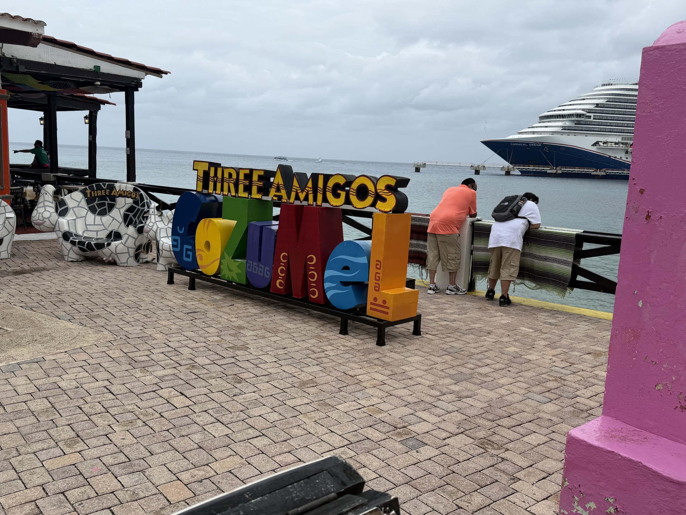 IMG_7733.jpeg