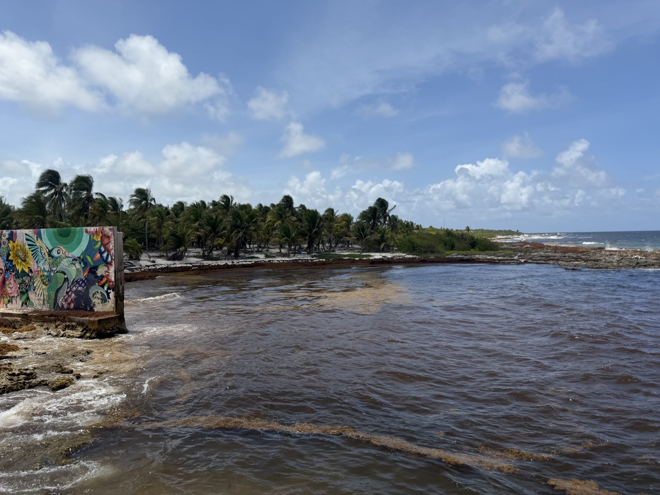 Costa Maya